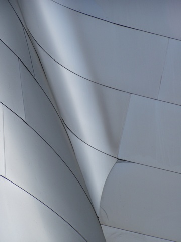 The Gehry Disney Concert hall in LA - A building plagued with problems, but if you ask the Architect no one is pissed at him.